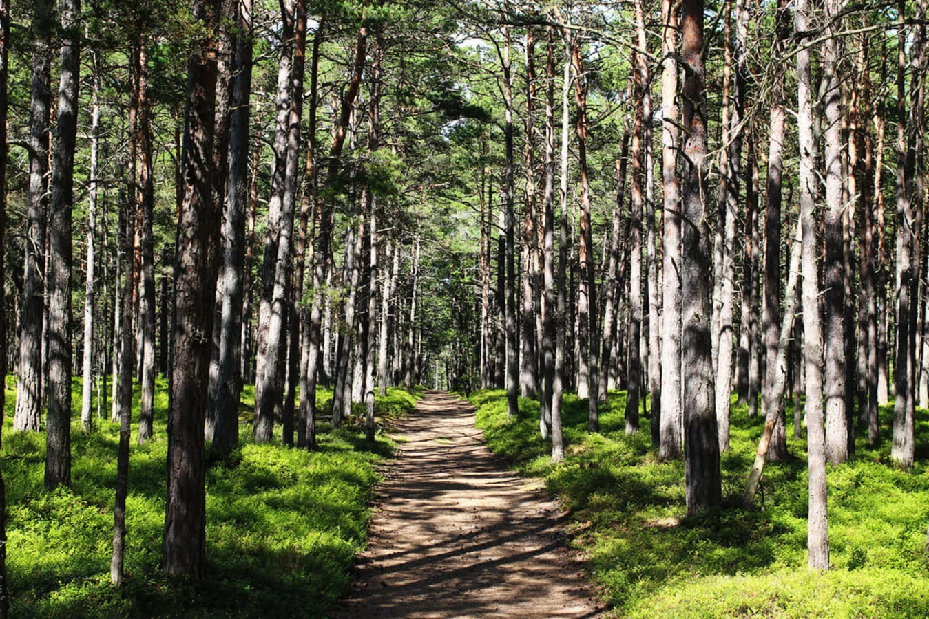 Sandhamn, Suède