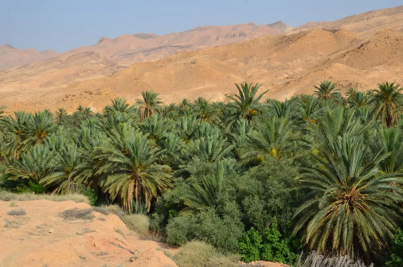 Tamerza, Tunisie