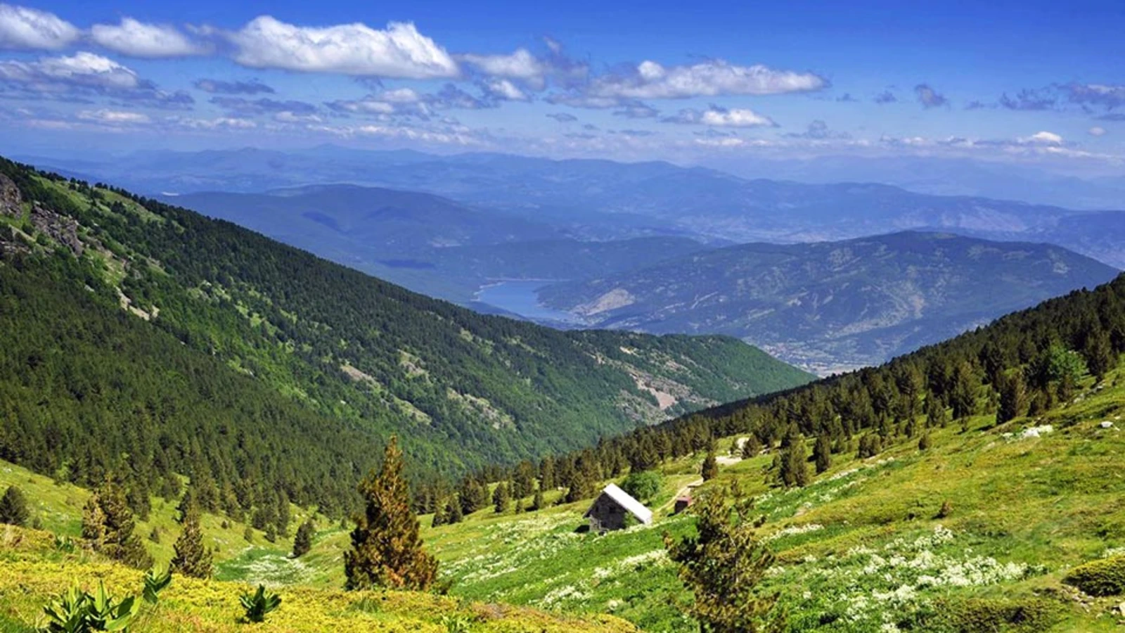 Parc national du Pelister, Macédoine du Nord