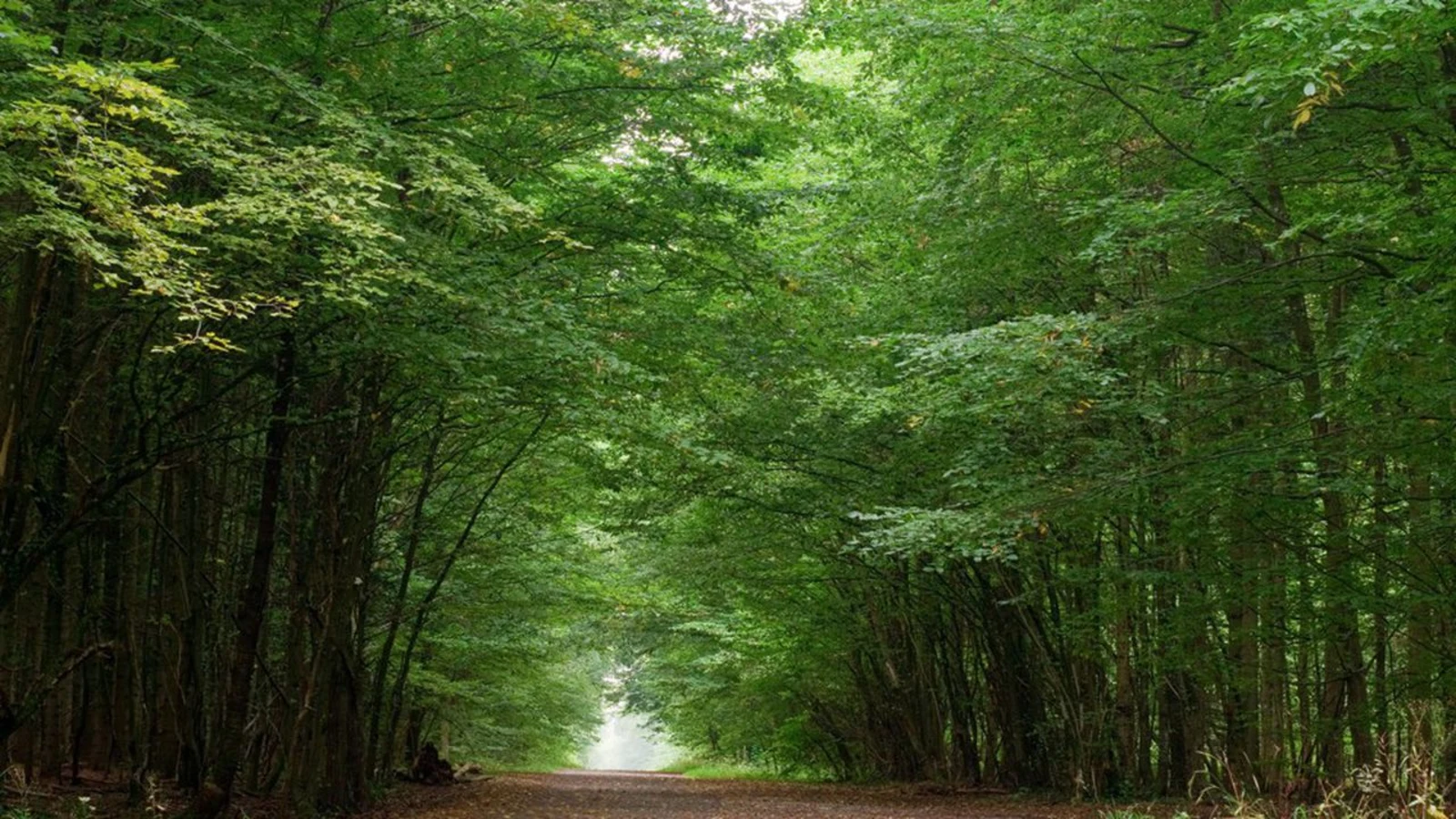 Parc naturel régional du Gâtinais français, France