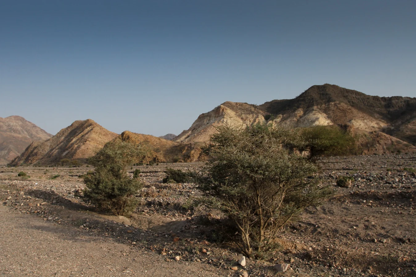 Monts Goda, Djibouti