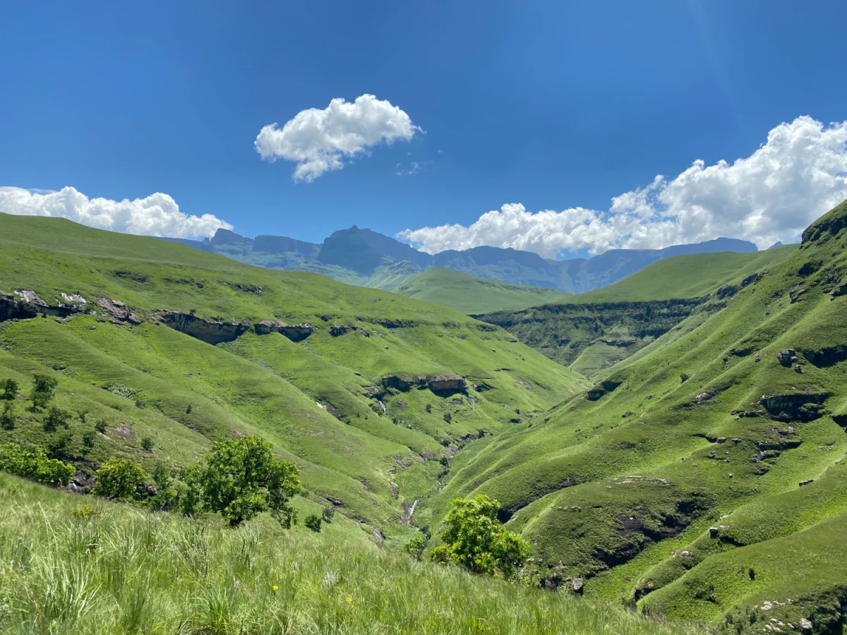 Injisuthi Nature Reserve, Afrique du Sud