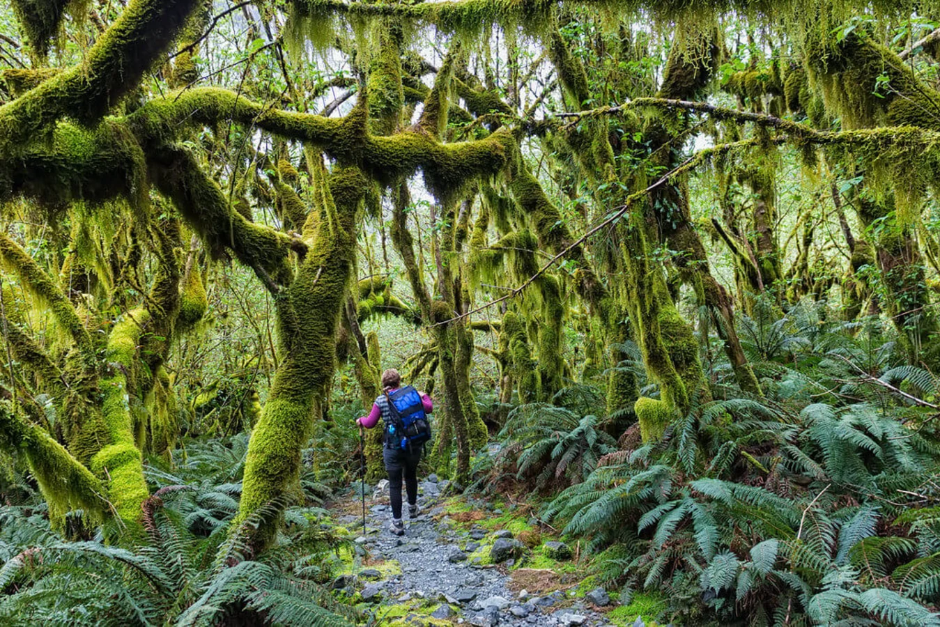 Milford Track, Nouvelle-Zélande