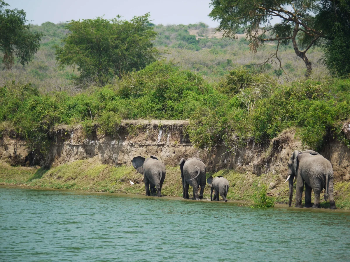 Canal de Kazinga, Ouganda