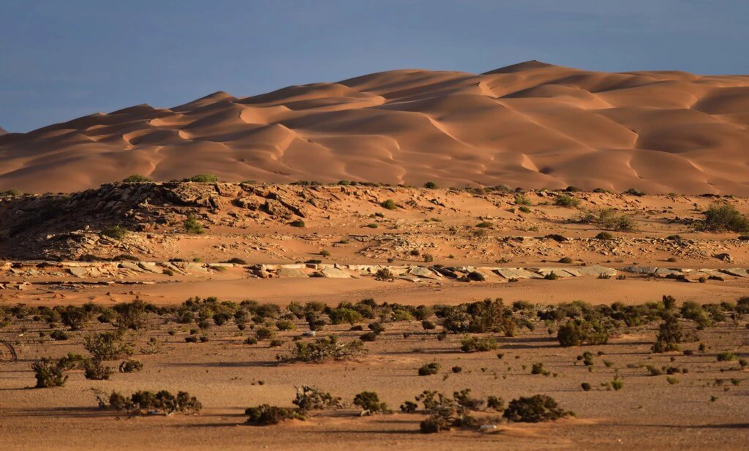 Parc National de Khenifiss, Maroc