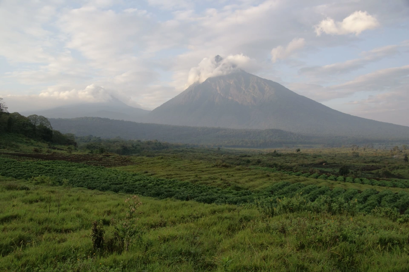 Parc national des Virungas, République démocratique du Congo