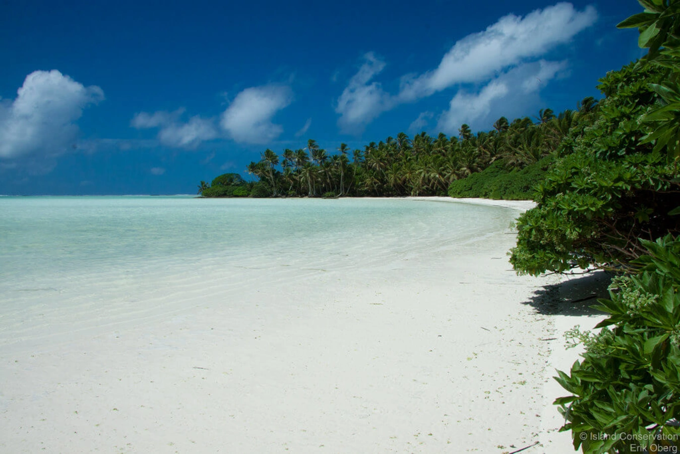 Atoll Palmyra, Îles mineures éloignées des États-Unis