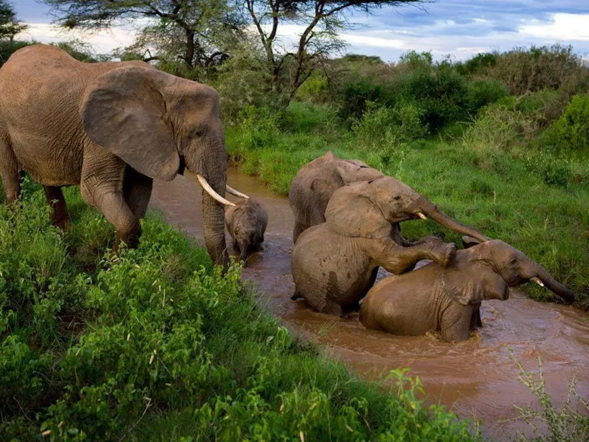 Parc national de Digya, Ghana, Ghana