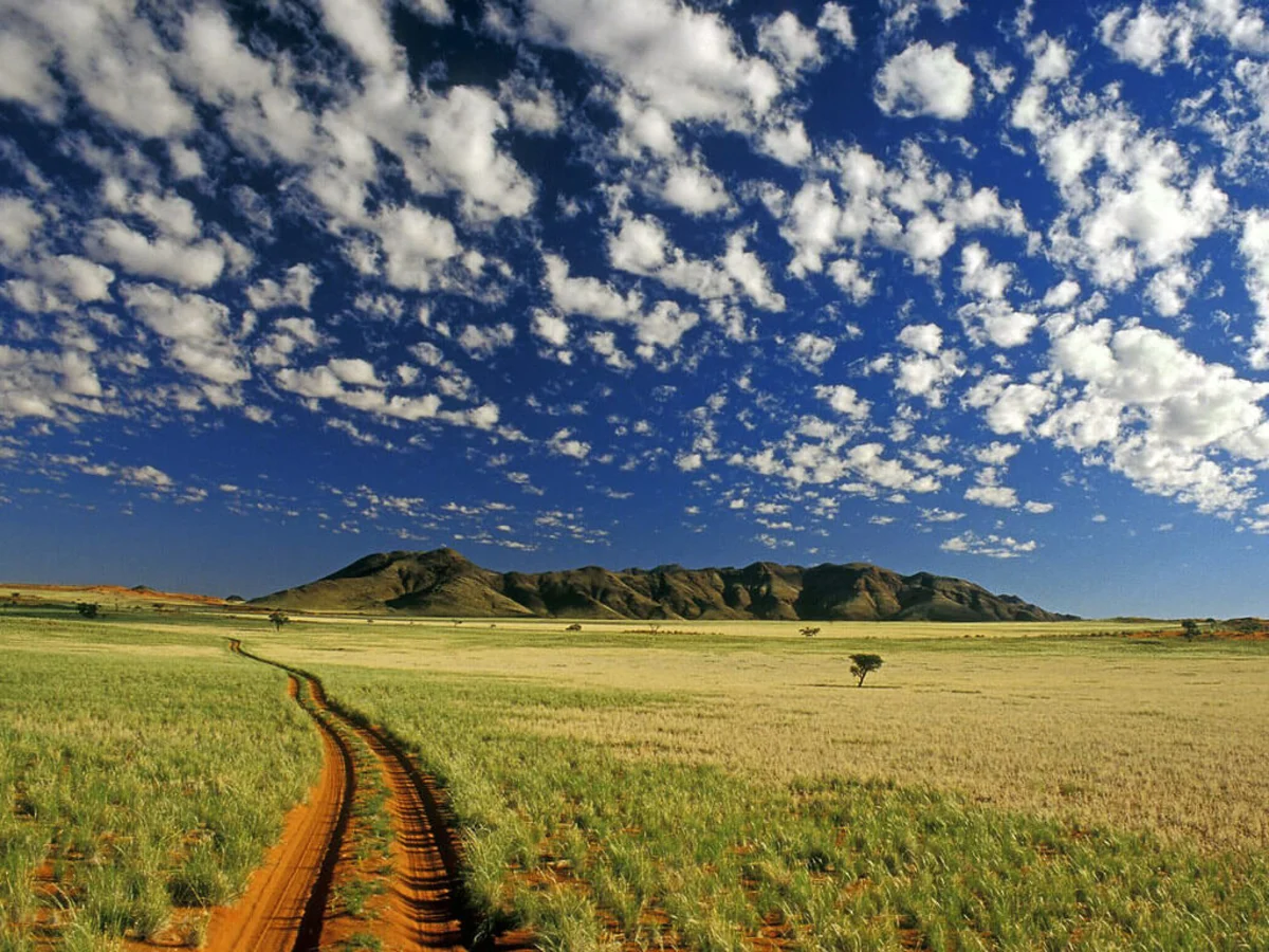 Tok Tokkie Hiking Trails, Namibie
