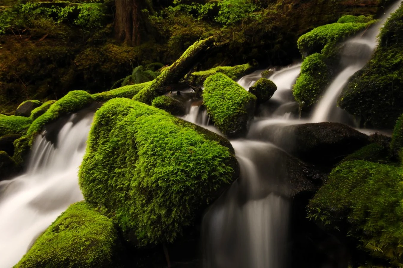 Sol Duc Valley, États-Unis