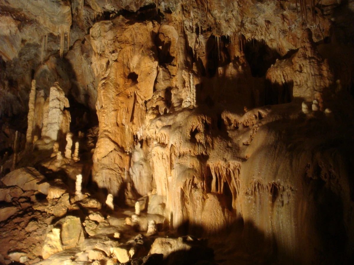 Grotte de l'Ours, Roumanie