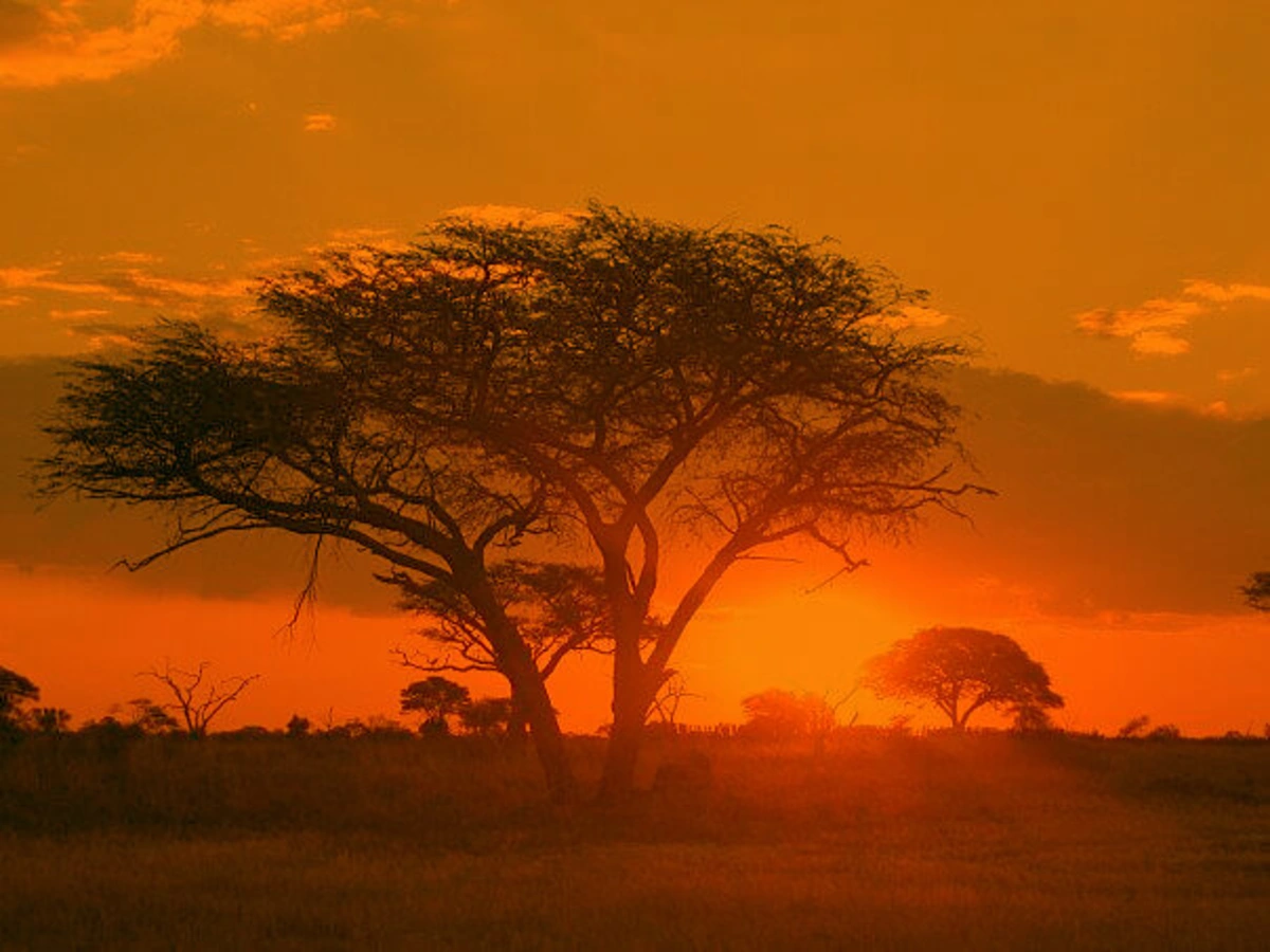 Parc national de Matobo, Zimbabwe