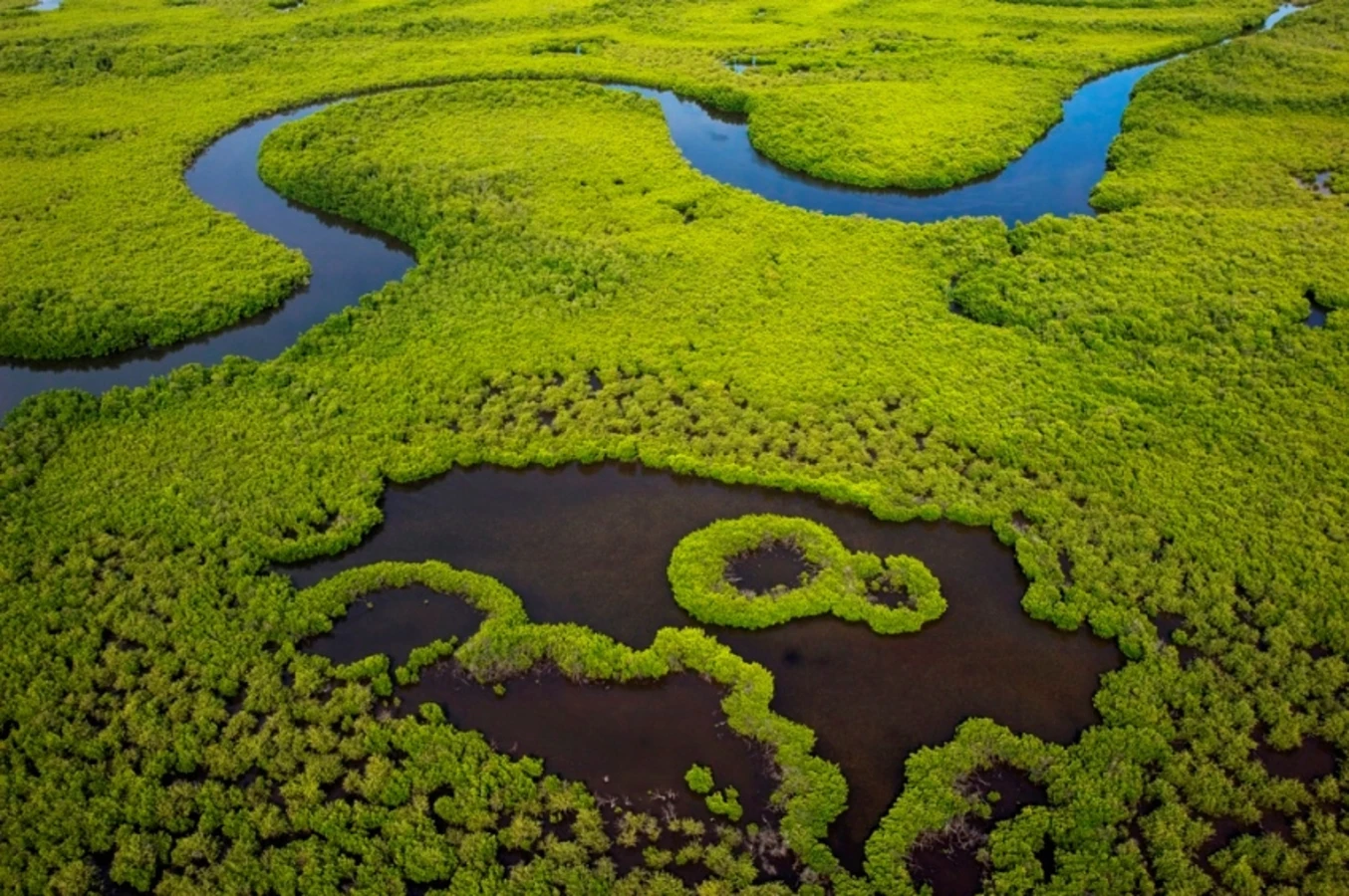 Parc national de Niumi, Gambie
