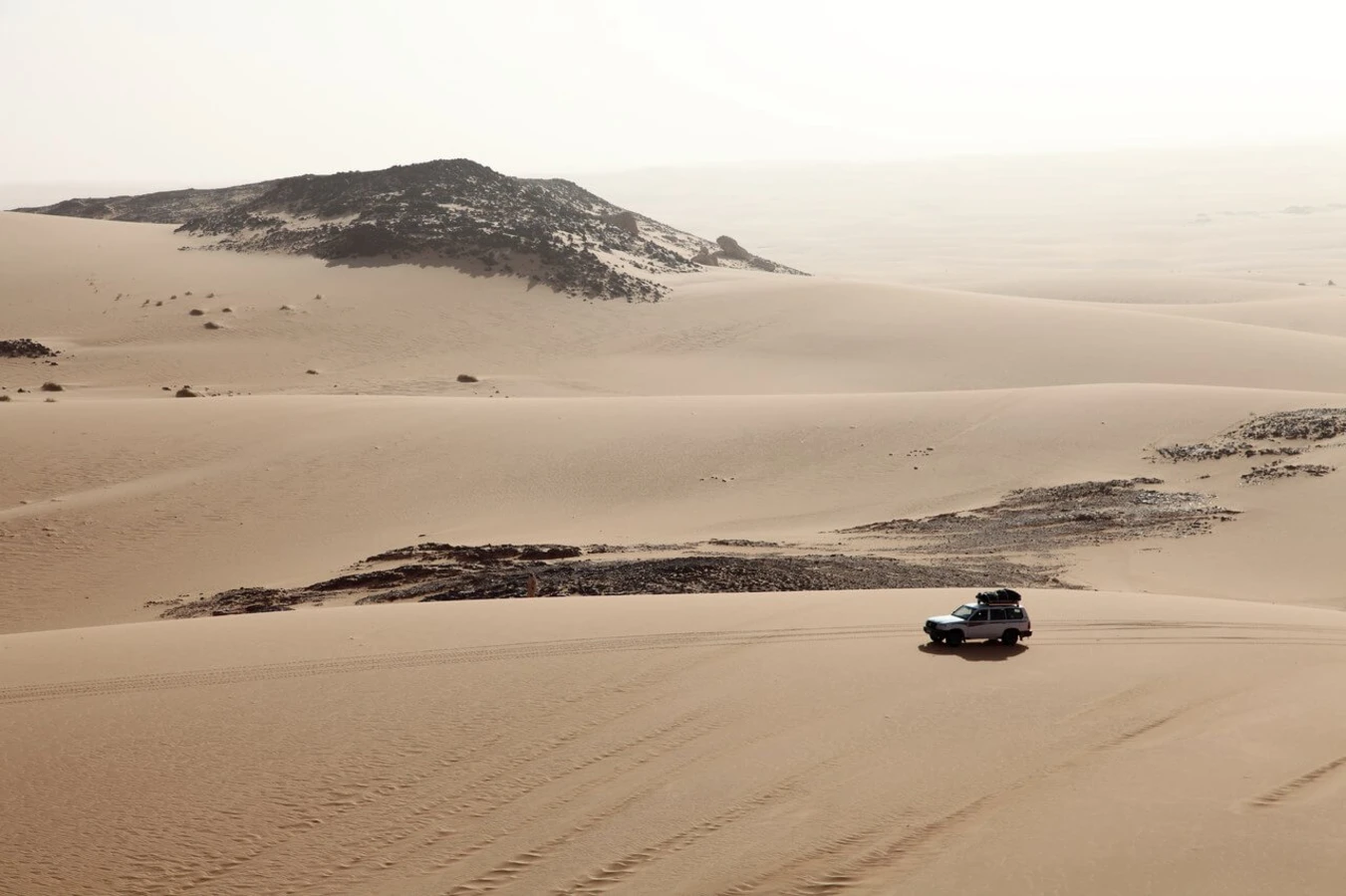 Désert du Djourab, Tchad, Tchad, Tchad