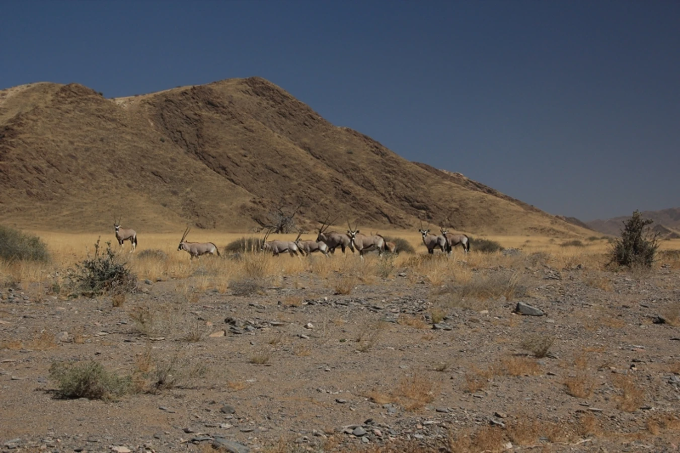Crowther's 4x4 Trail, Namibie