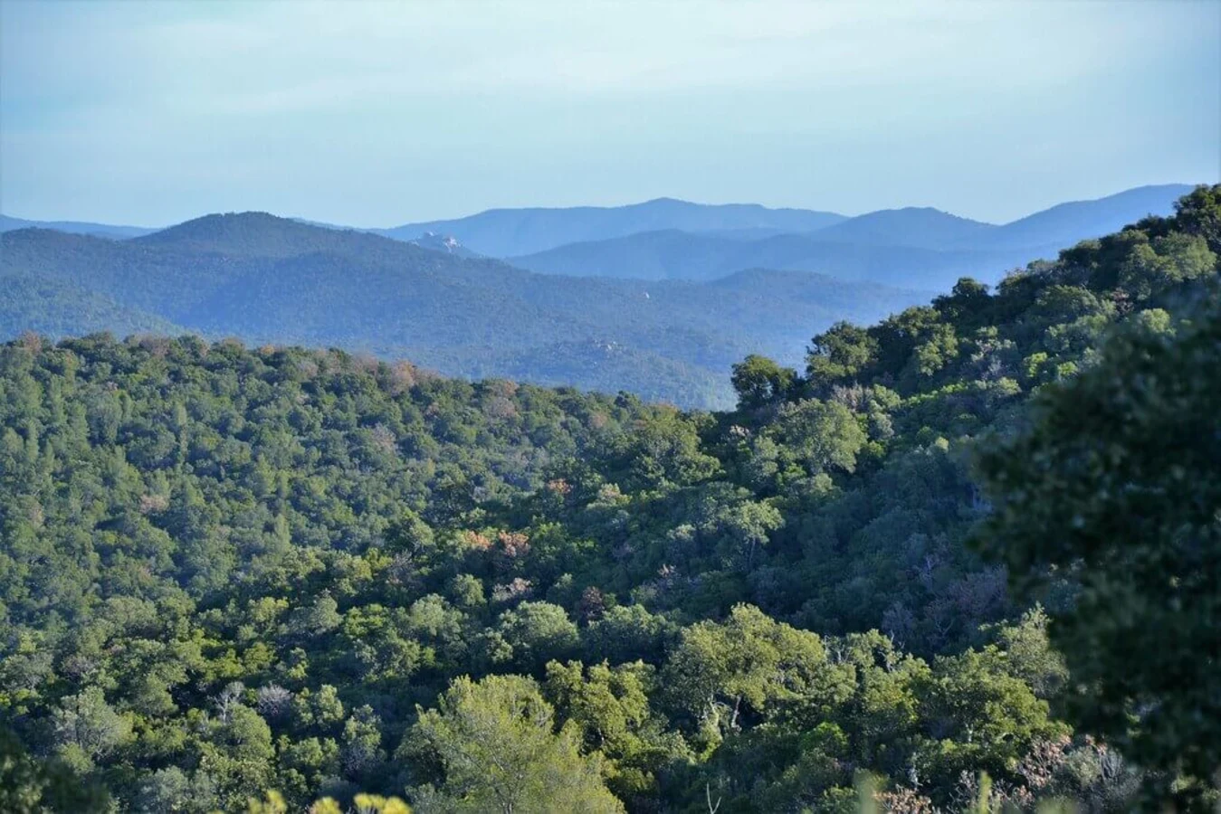 Massif des Maures, France