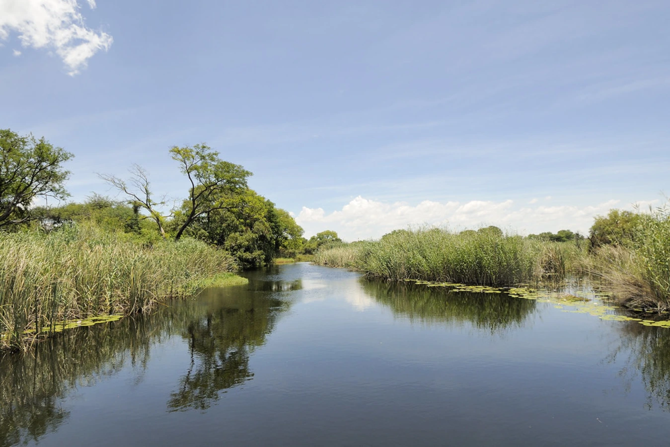 Parc national de Nkasa Rupara, Namibie