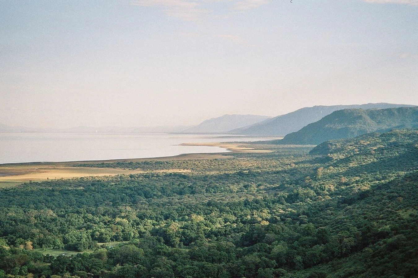 Lac Manyara, Tanzanie