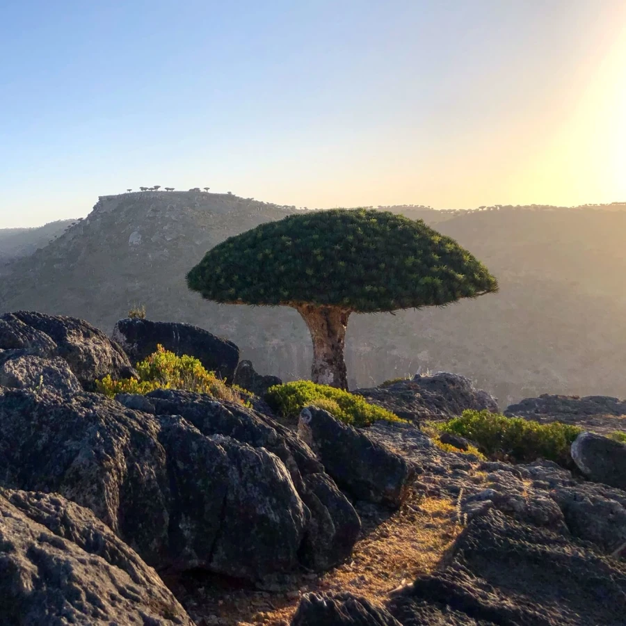 Shebahon viewpoint, Yémen, Socotra
