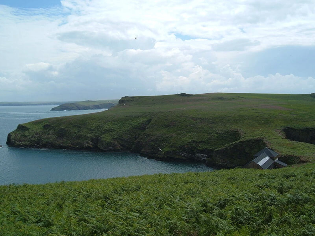 Skomer, Pays de Galles