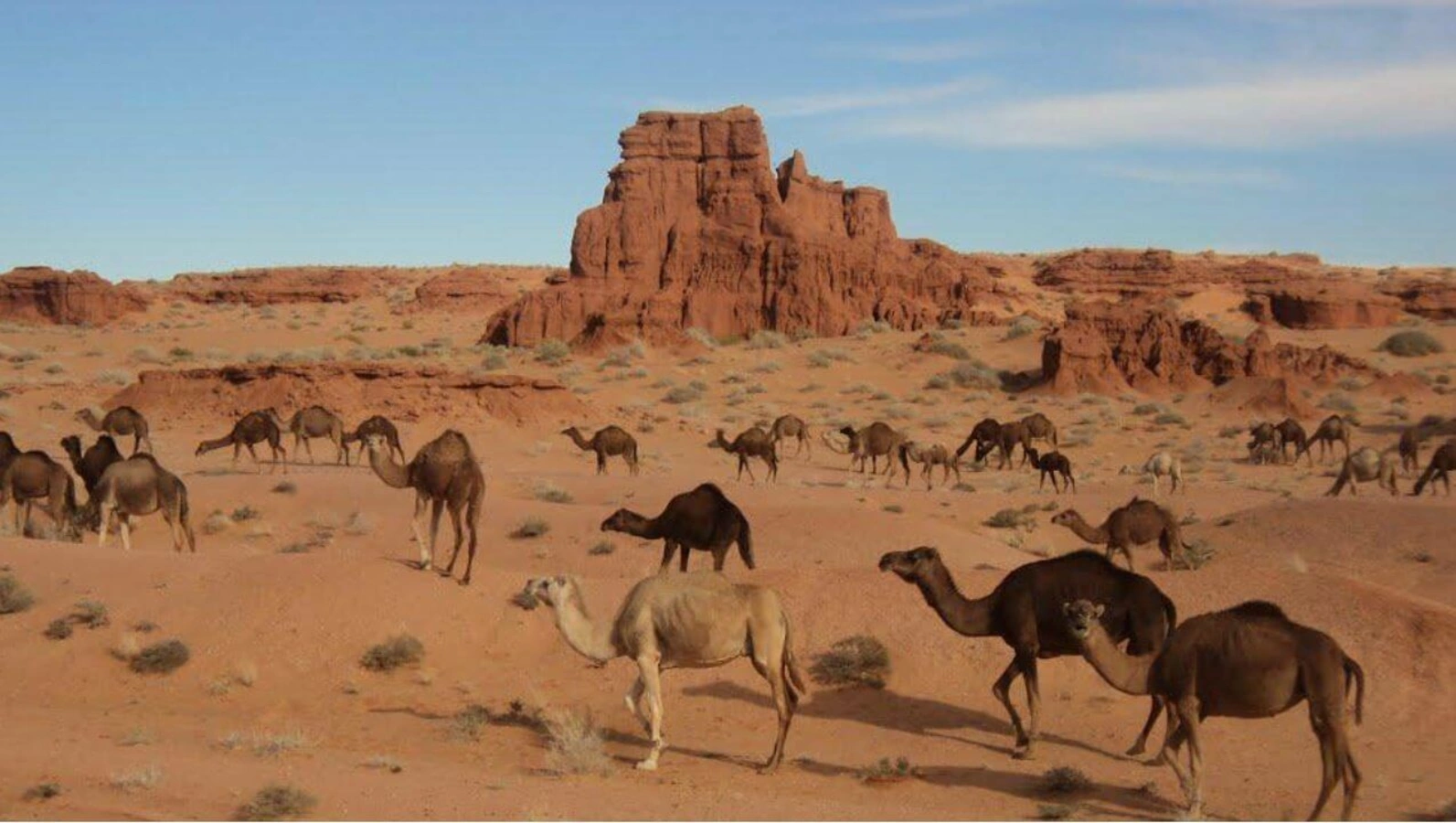 El Gour (Brezina), Algérie