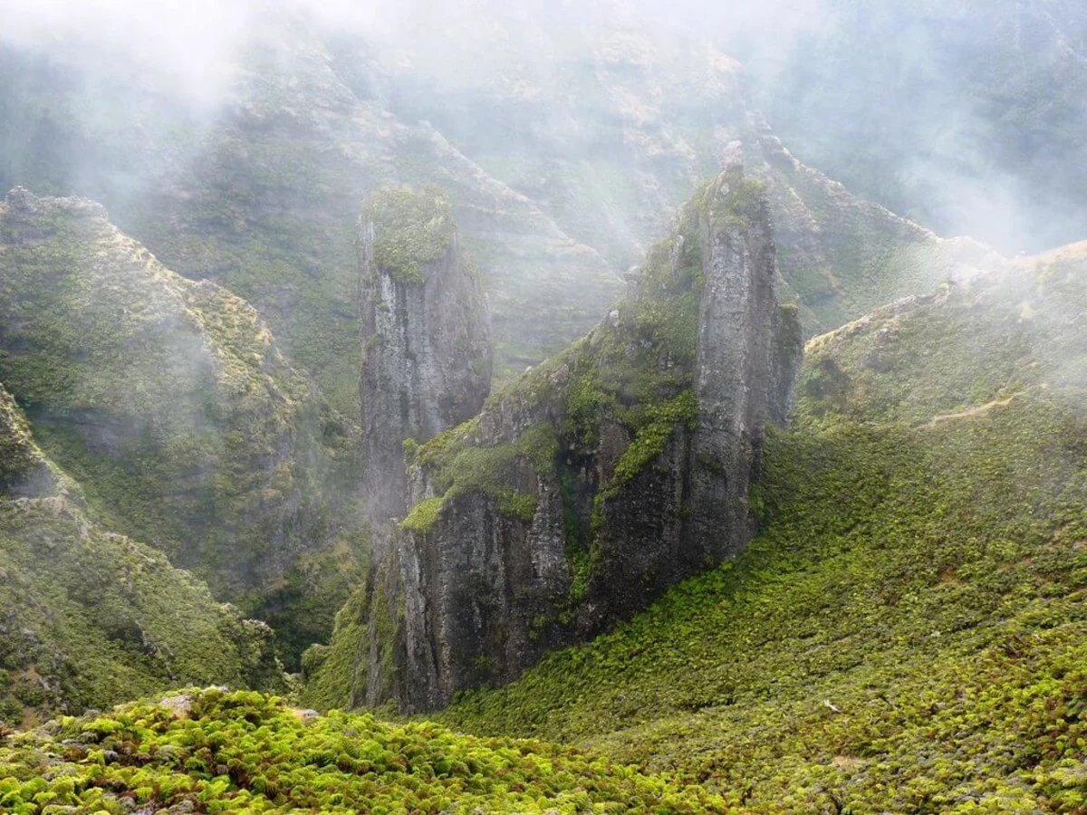 Tres Torres, Chili