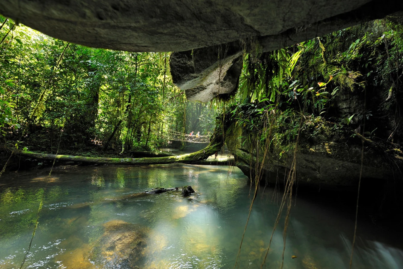 Chambre de Sarawak, Malaisie