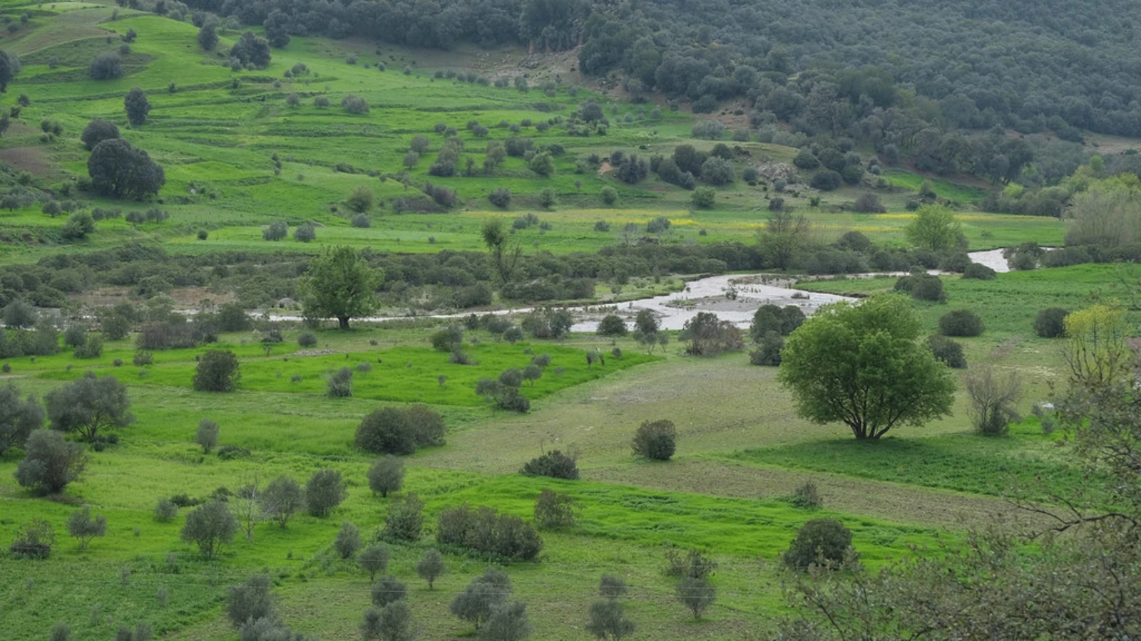 Parc national de Tazekka, Maroc