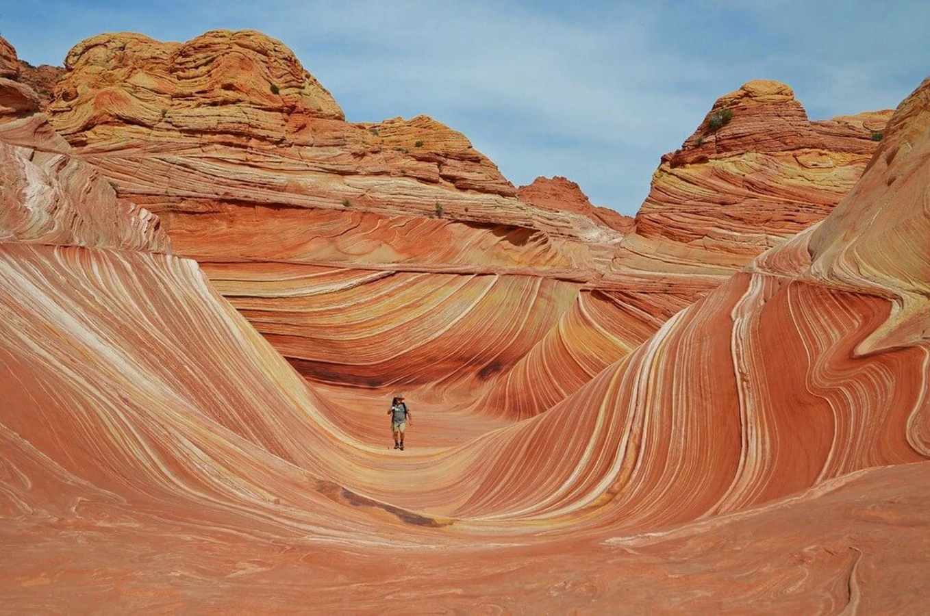 The Wave, États-Unis