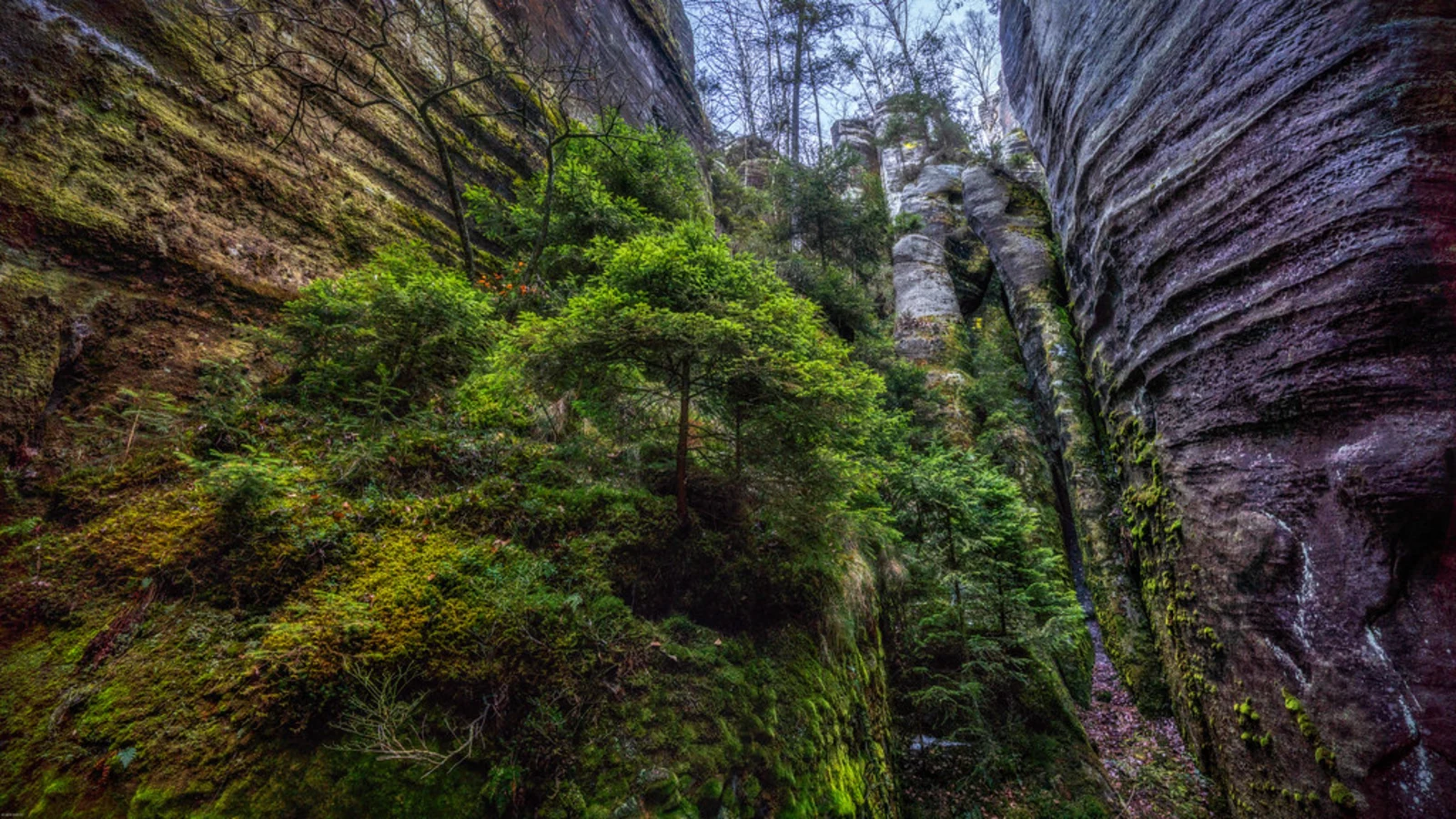 Adrspach Rock, République tchèque