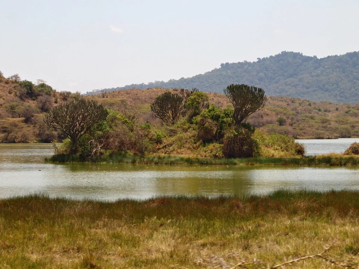 Lacs de Momella, Tanzanie