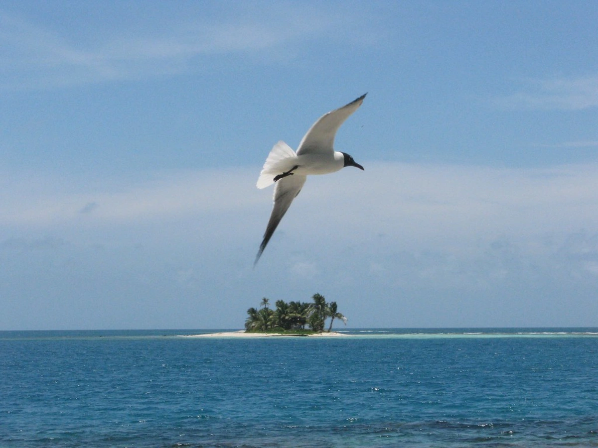 Laughing Bird Caye, Belize