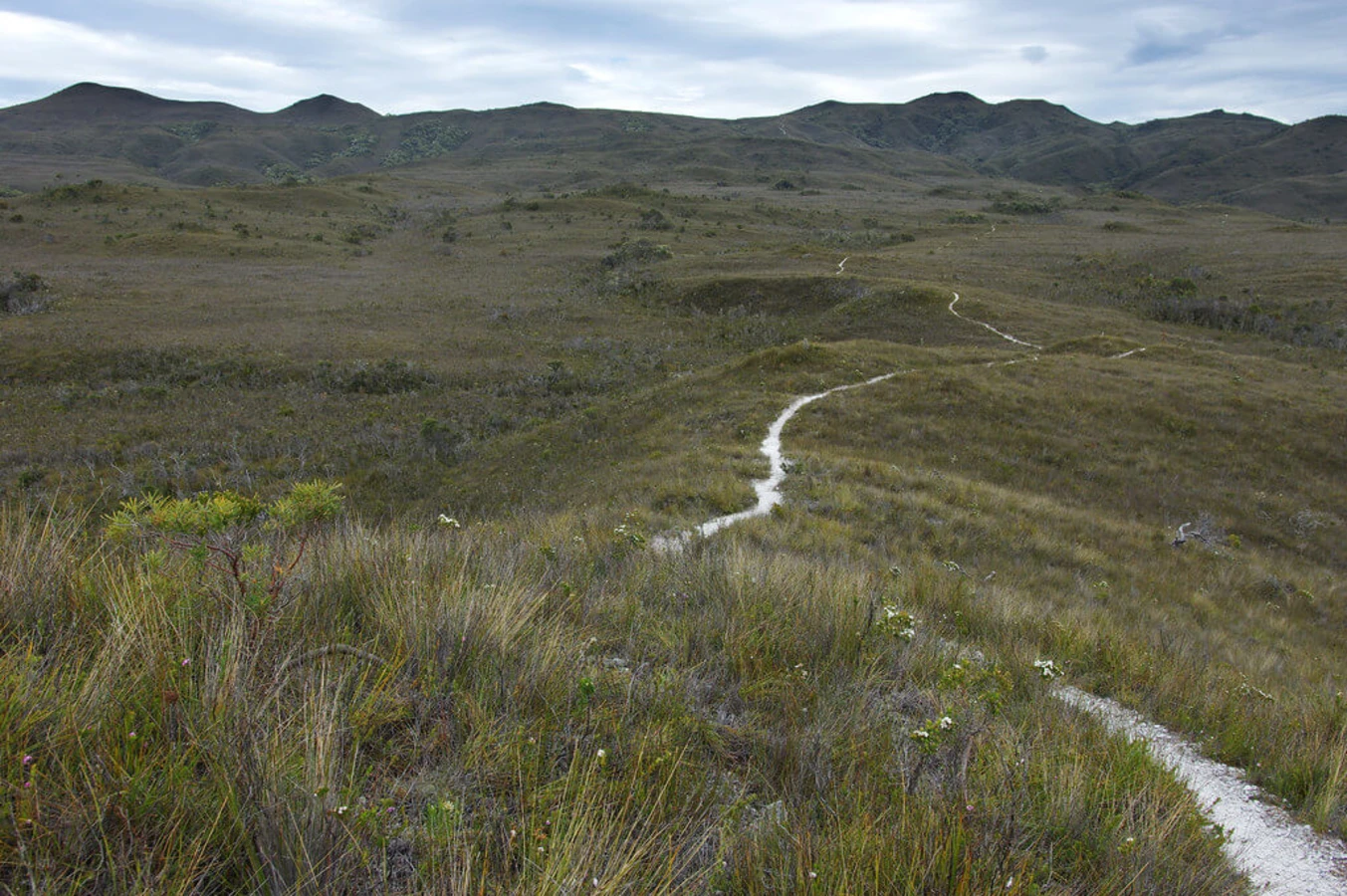 South Coast Track, Australie, Tasmanie