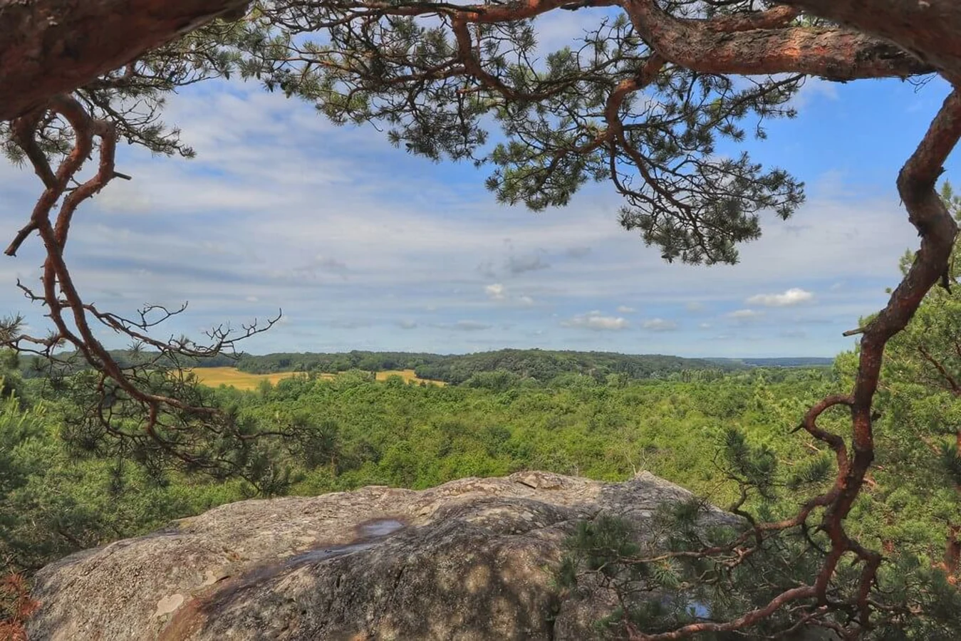 Forêt de Fontainebleau, France