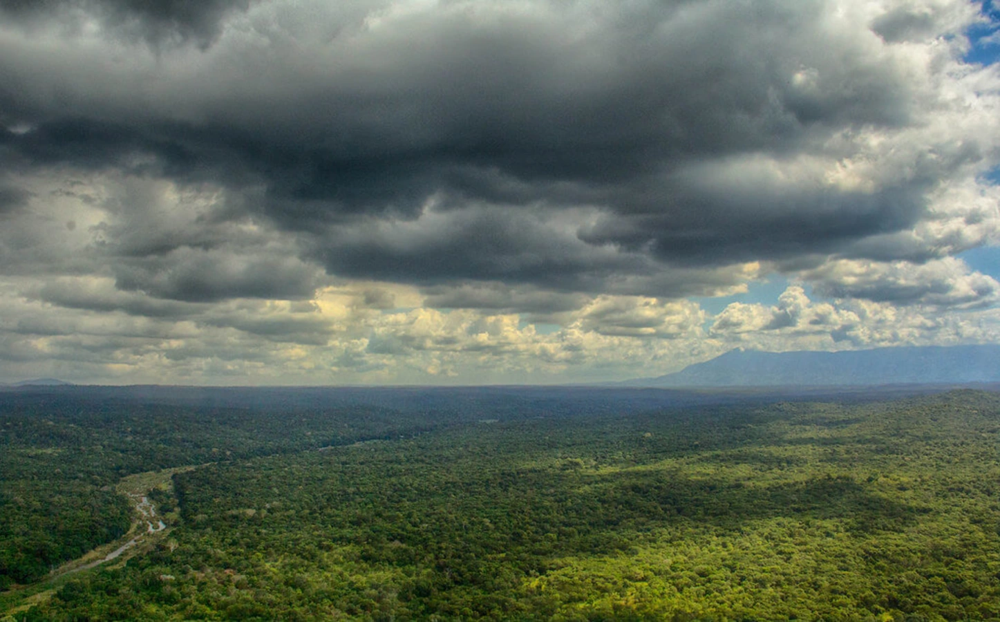 Parc national de Gorongosa, Mozambique