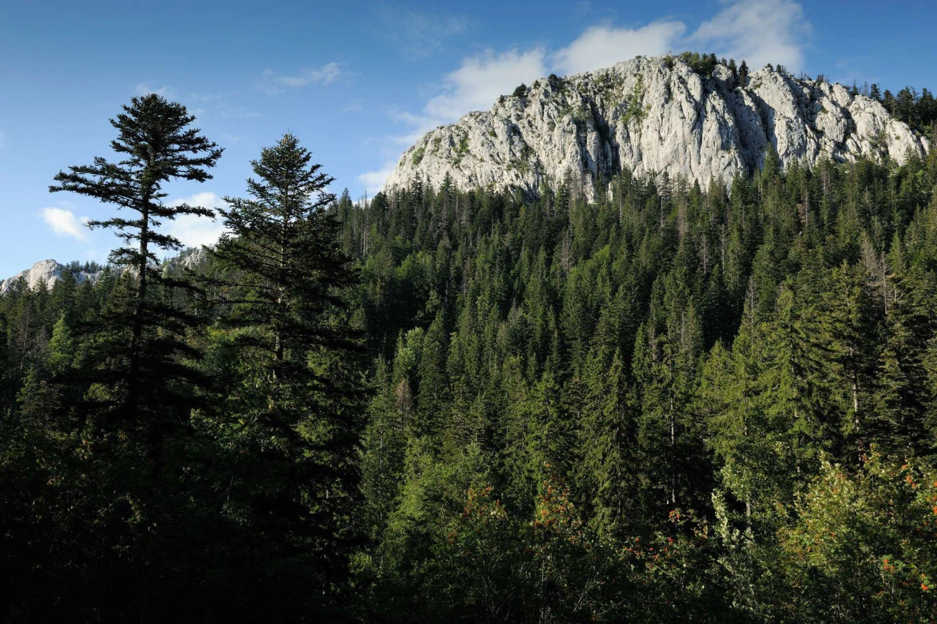 Velebit, Croatie