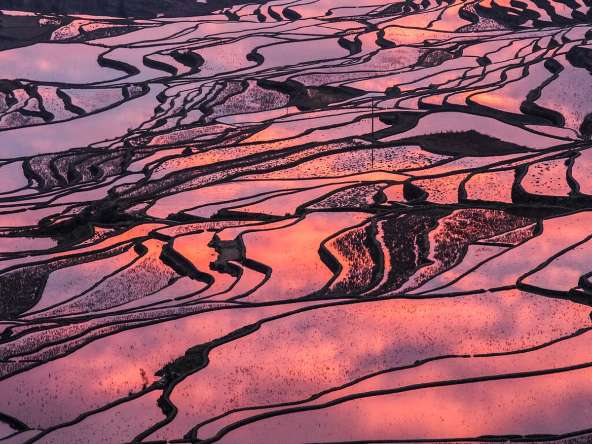 Rizières en terrasse des Hani de Honghe, Chine