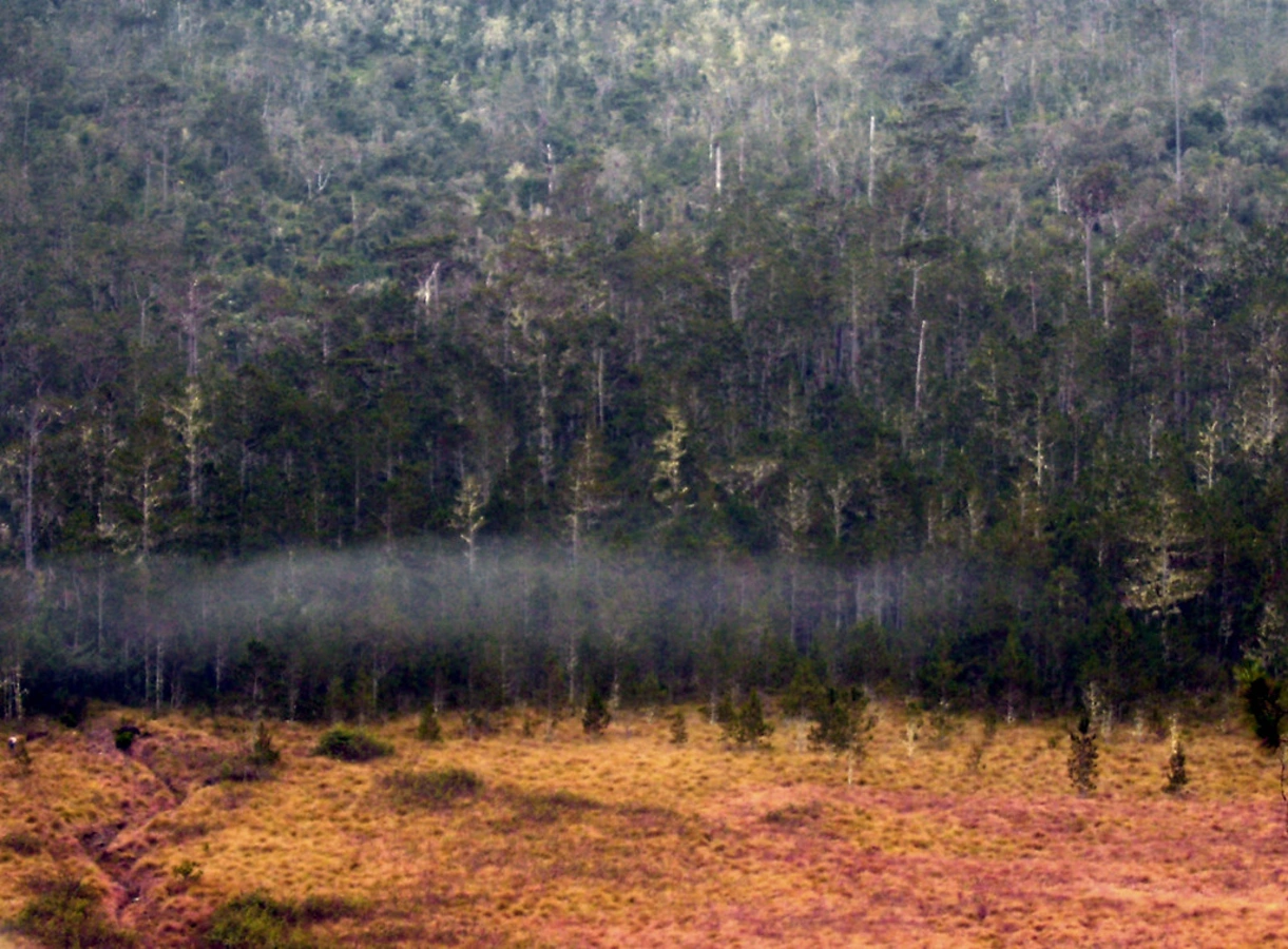 Parc national José Armando Bermúdez, République dominicaine