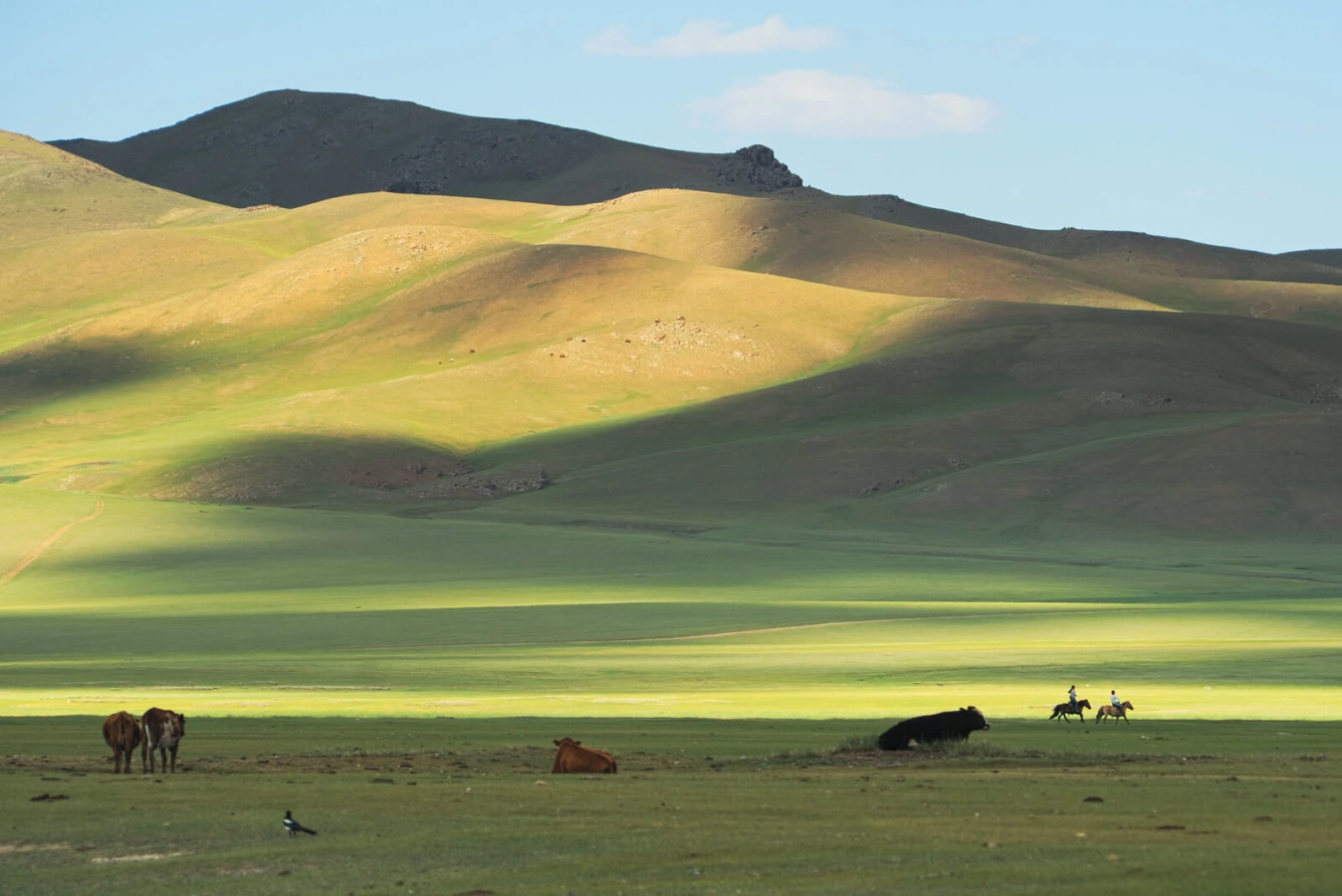 Vallée de l'Orkhon, Mongolie, Mongolie