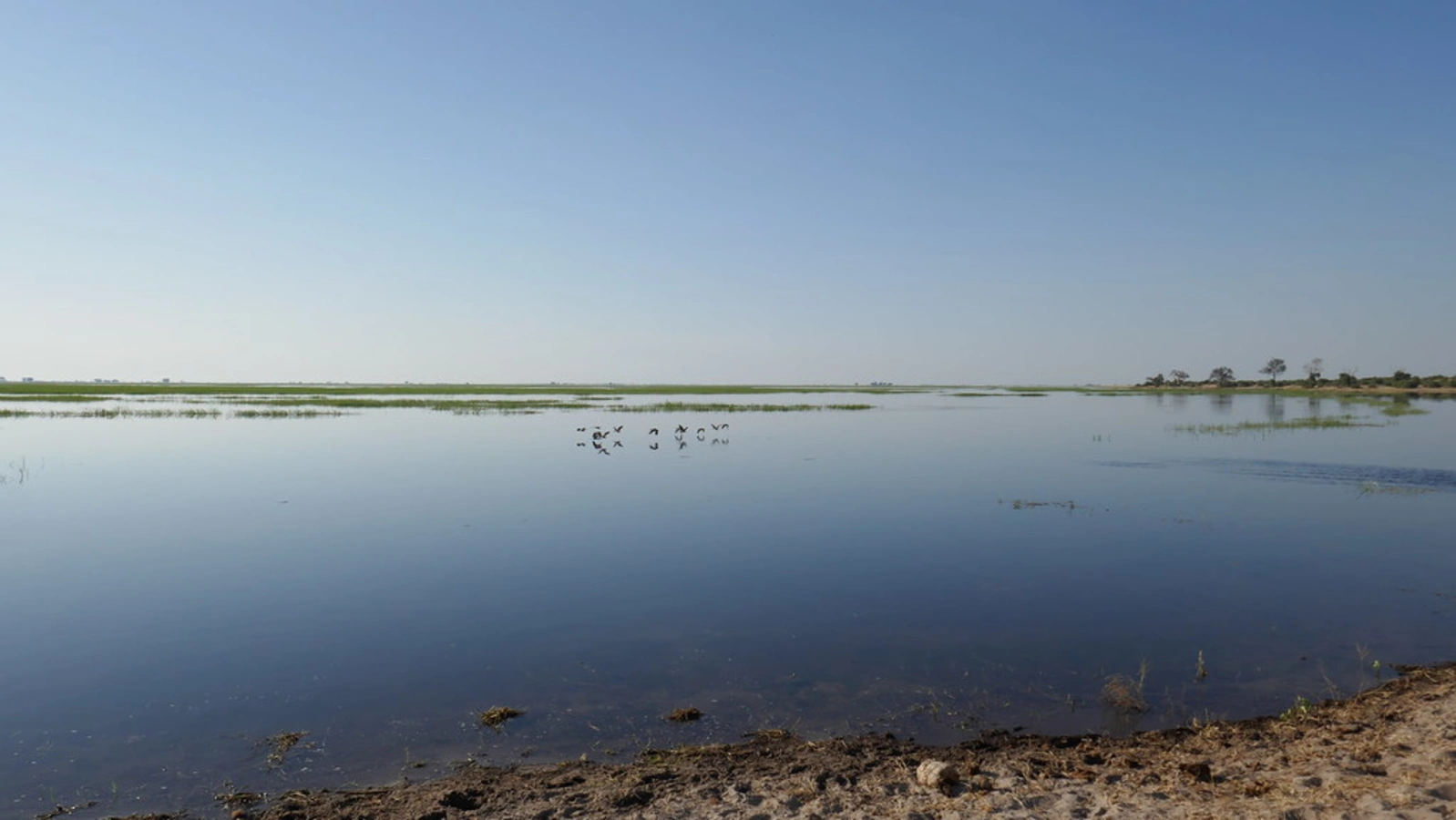 Chobe River Front, Botswana