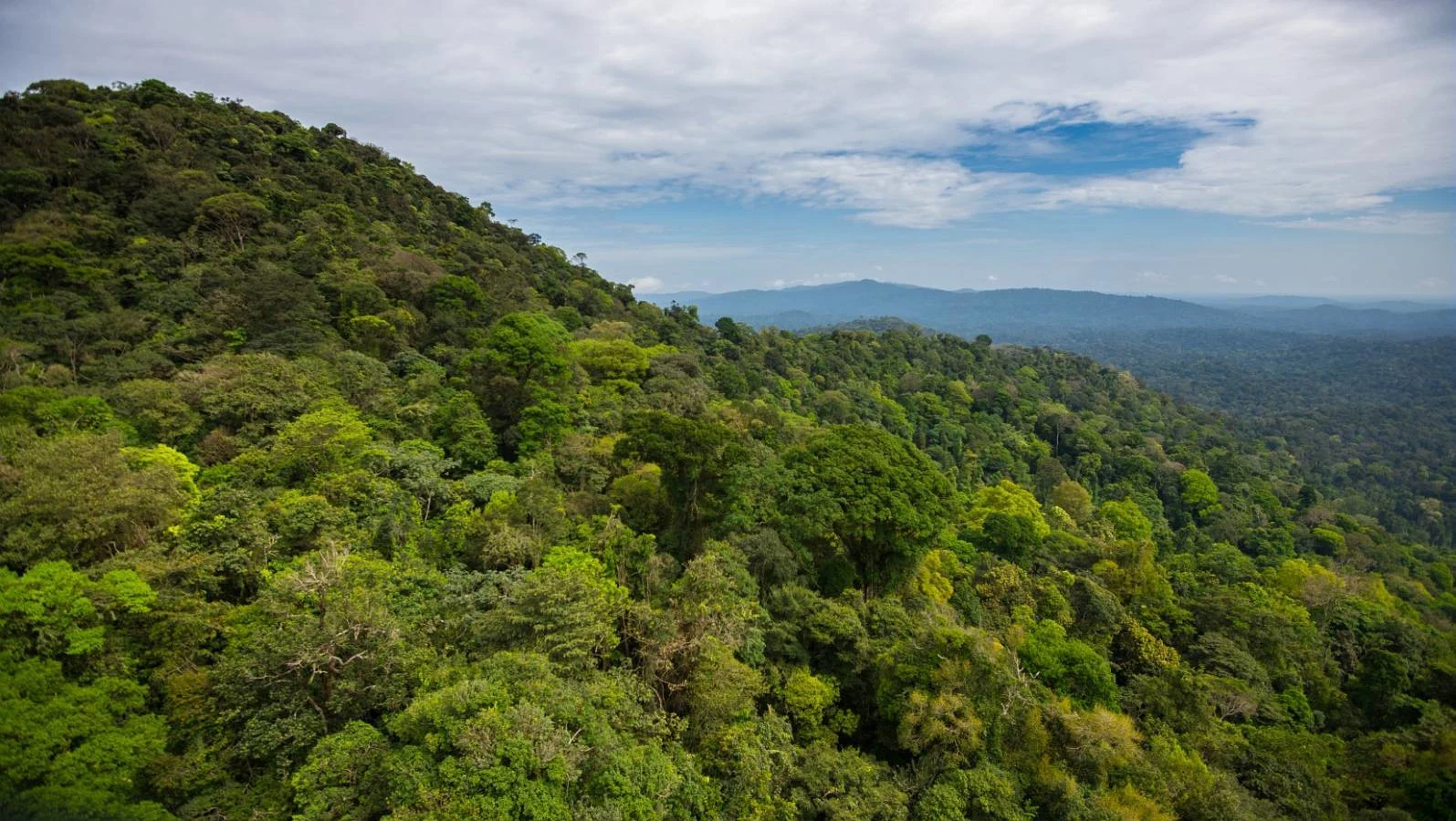 Parc amazonien de Guyane, Guyane française