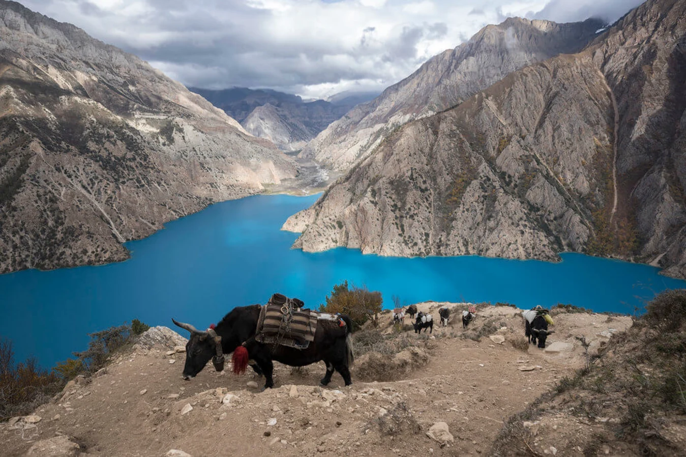 Lac Phoksundo, Népal