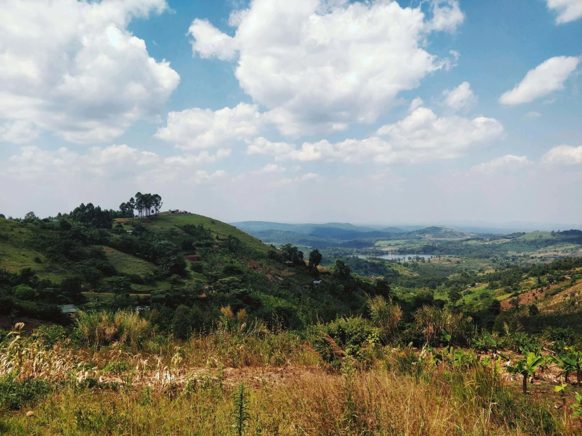 Parc national de Kibale, Ouganda