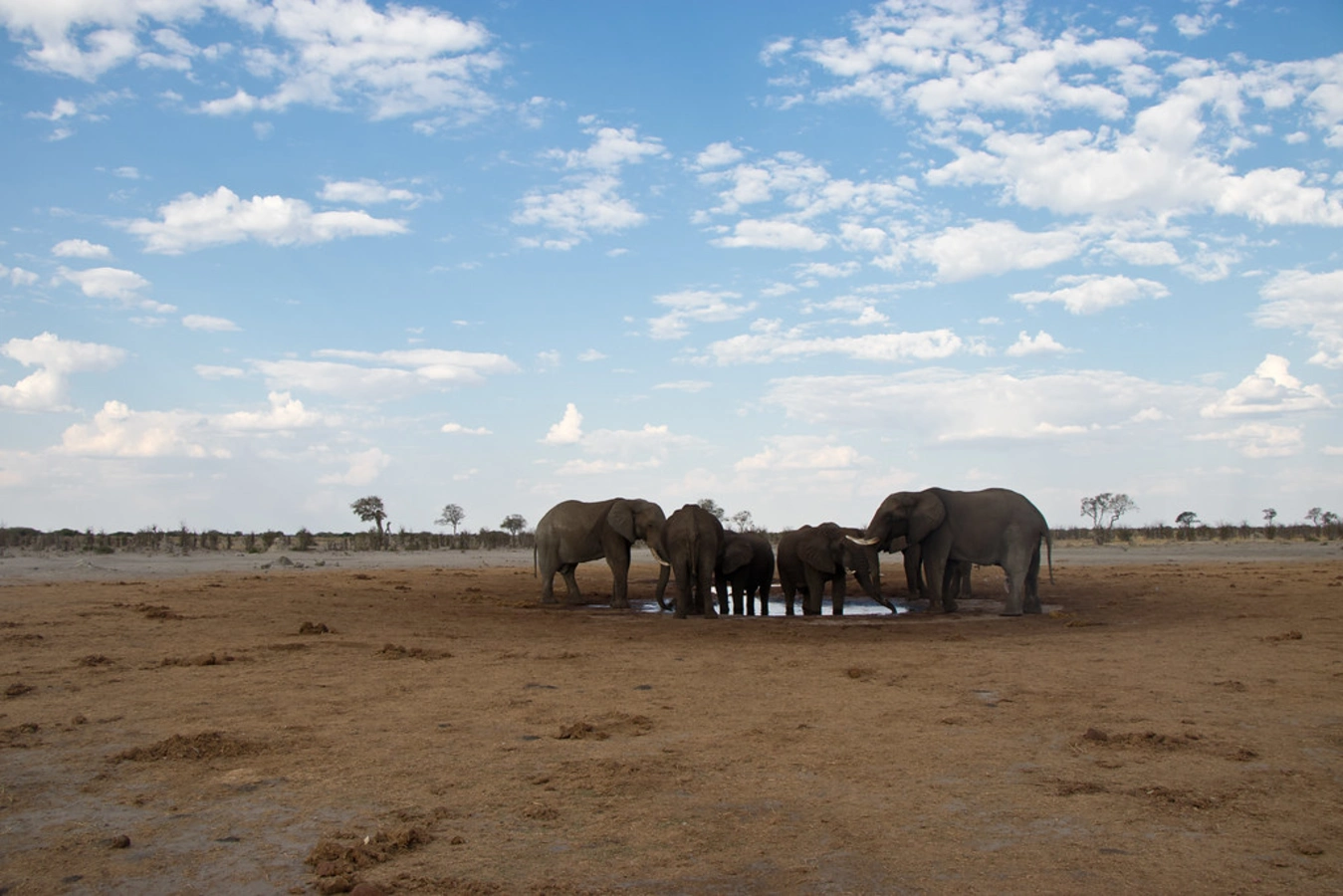 Savuti Marsh, Botswana