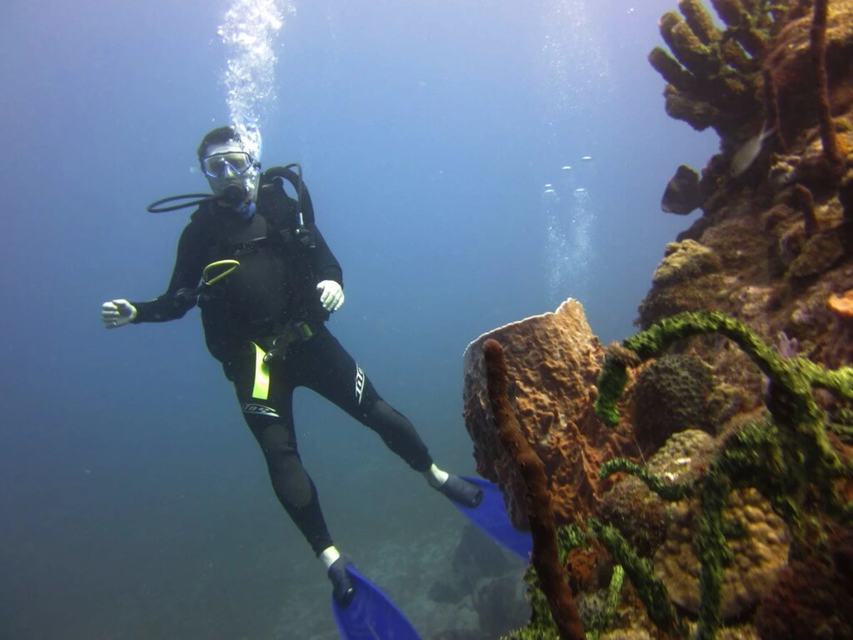 Champagne Reef, Dominique