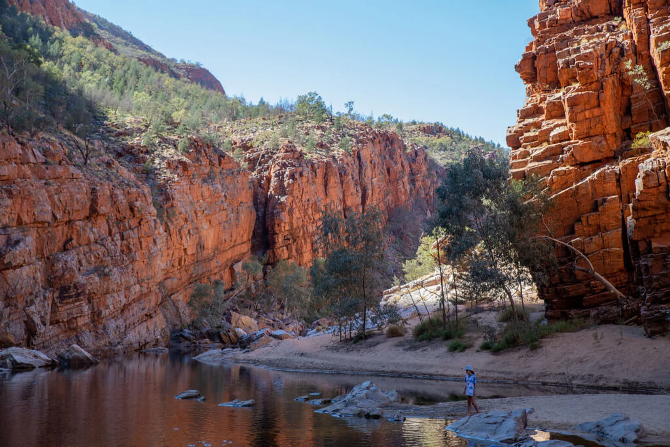 Larapinta Trail, Australie