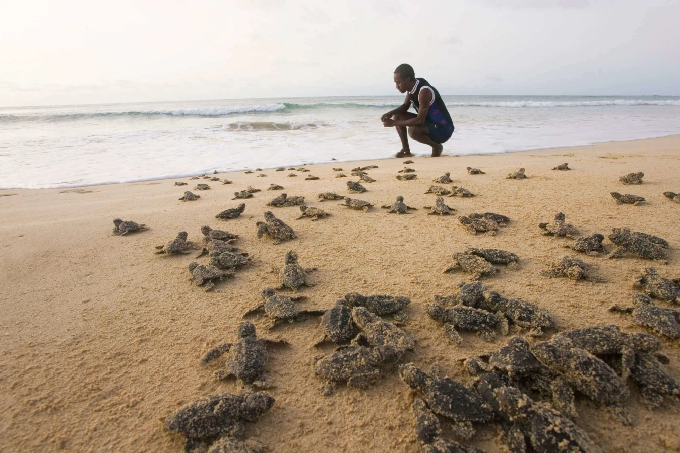 Parc national marin des îles Joao Vieira-Poilao, Guinée-Bissau