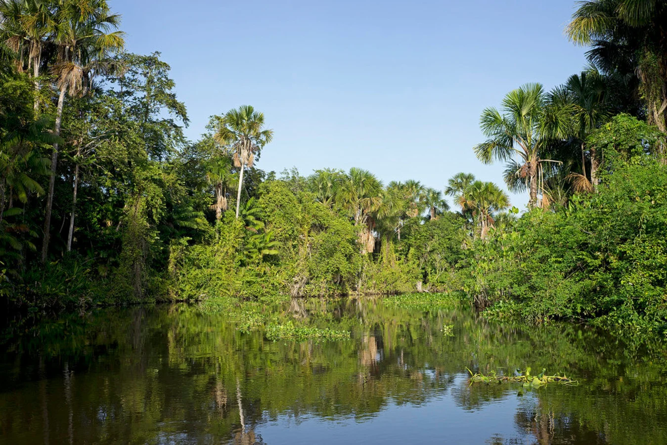 Delta de l'Orénoque, Venezuela