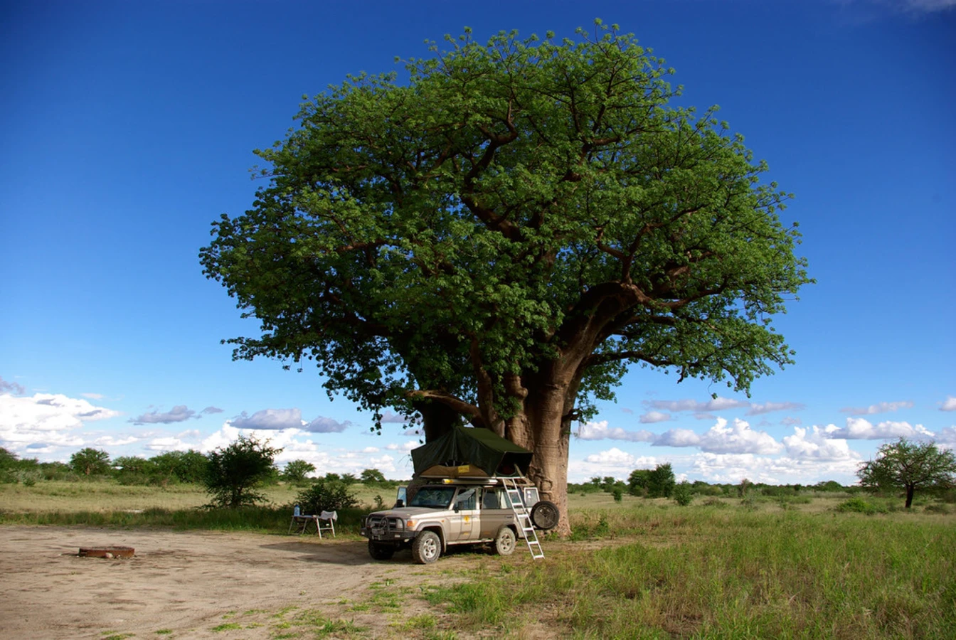 Parc national de Nxai Pan, Botswana