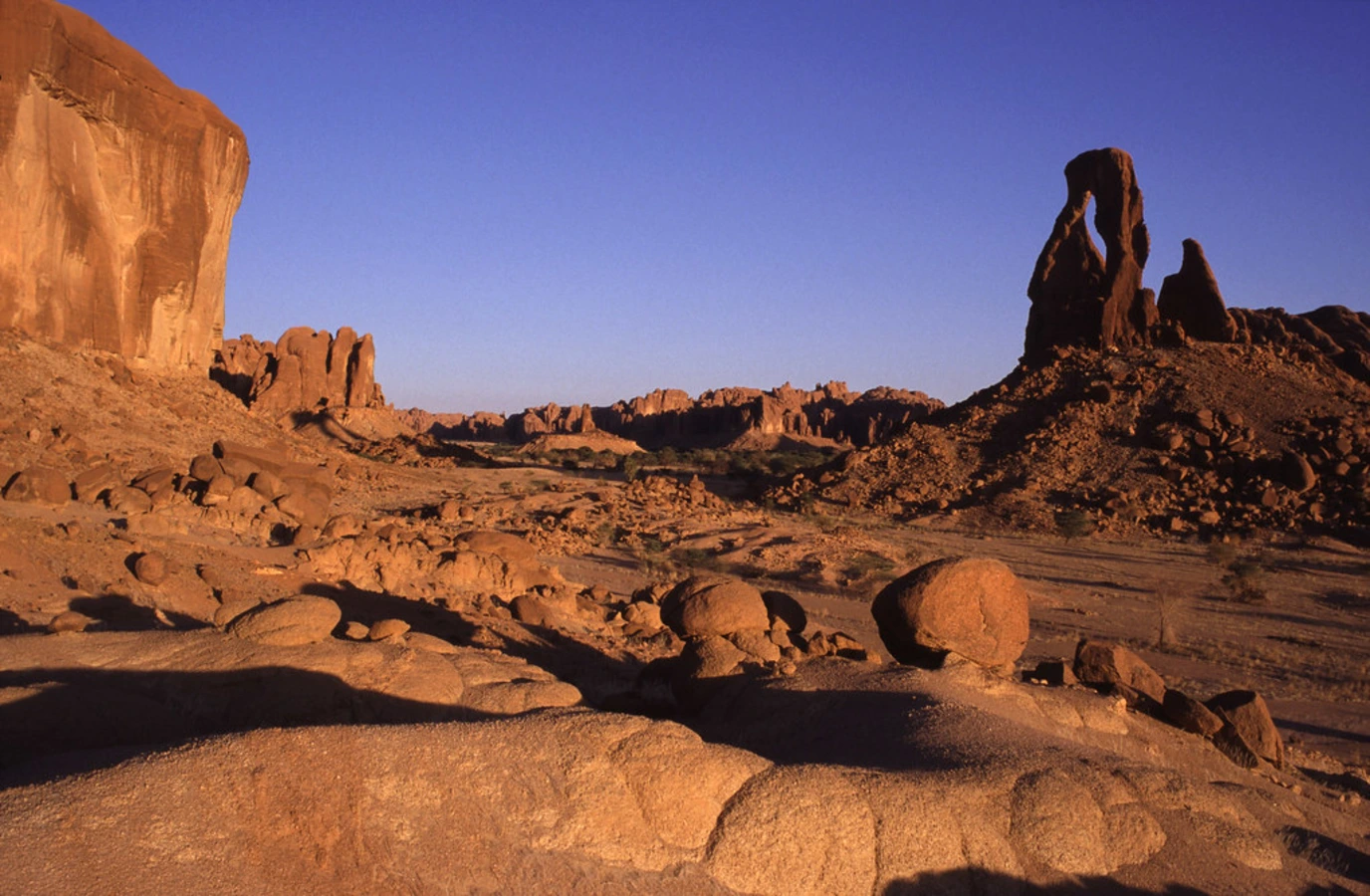 Arche de Djoulia, Tchad